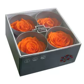 Бутоны розы "Orange" (Premium)