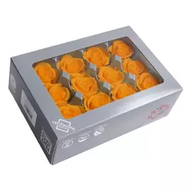 Бутоны розы "Orange" (Mini)