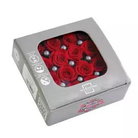 Бутоны розы "Red" (Princess)