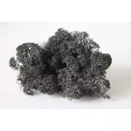 Стабилизированный мох "Lichen" Black 0.5кг