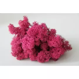 Стабилизированный мох "Lichen" (Dark Pink) 1кг