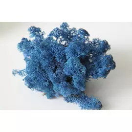 Стабилизированный мох "Lichen" (Dark Blue) 0.5кг