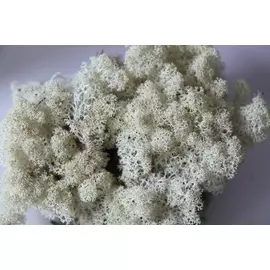 Стабилизированный мох "Lichen" (Natural) 1кг