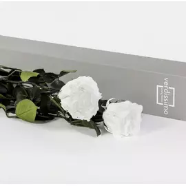 Стабилизированная роза V-rose "White"