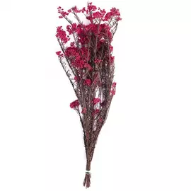 Ветви "Helychrisium Diosmifolium Natural Pink"