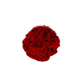 Бутоны розы садовой "Red"