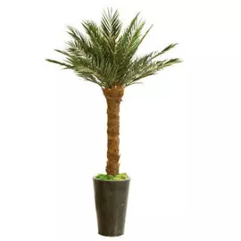 Финиковая пальма дерево 240 см