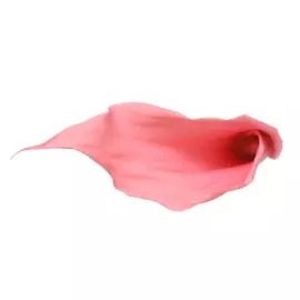 Калла стабилизированная "Coral Pink" (Mini)