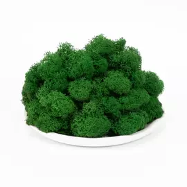 Стабилизированный мох (ягель) 0.5 кг (темно-зеленый)