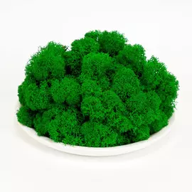 Стабилизированный мох (ягель) 0.5 кг (зеленый)