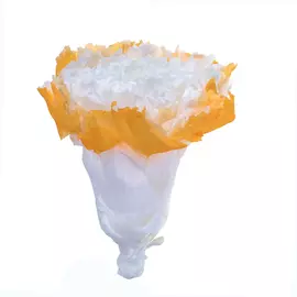 Стабилизированные бутоны гвоздики bicolor "Blanc/Orange" (Carnation Maquillage x6)