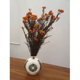 Озотамнус "Helychrisium Diosmifolium Natural" (Orange)