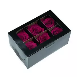Бутоны розы "Hot Pink" (Standard)