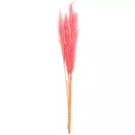 Пампасная трава "Pink" 5 стеблей 110-120 см