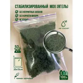 Стабилизированный мох (ягель) 50 г (темно-зеленый)