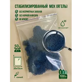 Стабилизированный мох (ягель) 50 г (синий)