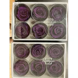 Уценка - Бутоны розы "Purple" (Standard)