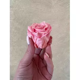 Бутоны розы "Dark Pink" (Medium)