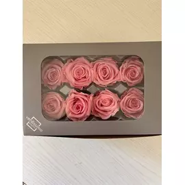 Бутоны розы "Vintage Pink" (Medium)