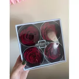 Бутоны розы "Tricolor" (Premium)