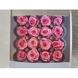 Бутоны розы "Bright Pink" (Princess)