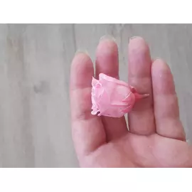 Бутоны розы "Pastel Pink" (Princess)