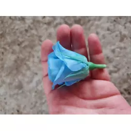 Бутоны розы "Dark Blue" (Mini)