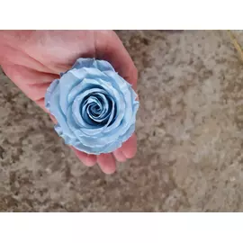 Бутоны розы "Light Blue" (Standard)