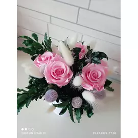 Бутоны розы "Pastel Pink" (Standard)