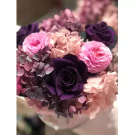 Бутоны розы "Purple" (Mini)