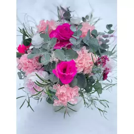 Бутоны розы "Hot Pink" (Monalisa)