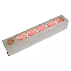 Бутоны розы "Bridal Pink" (Splendid)