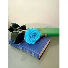 Роза стабилизированная "Бирюзовая" (Premium)