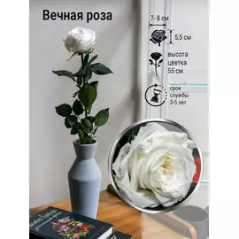 Роза стабилизированная "Белая" (Premium)