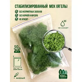 Стабилизированный мох (ягель) 50 г (зеленый)