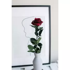 Роза на стебле размера L+ бордовая