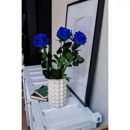 Роза стабилизированная "Синяя" (Premium)