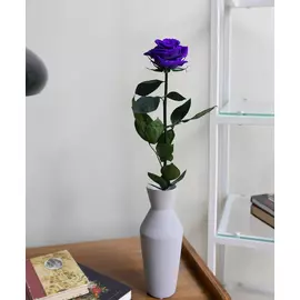 Роза на стебле размера L+ фиолетовая