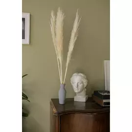 Пампасная трава "White" 5 стеблей 110-120 см