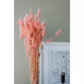 Лагурус розовый "Pink" 100 гр