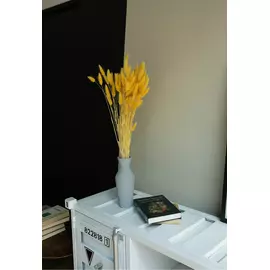 Лагурус желтый "Yellow" 100 гр
