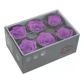Бутоны розы "Bright Lilac" (Standard)