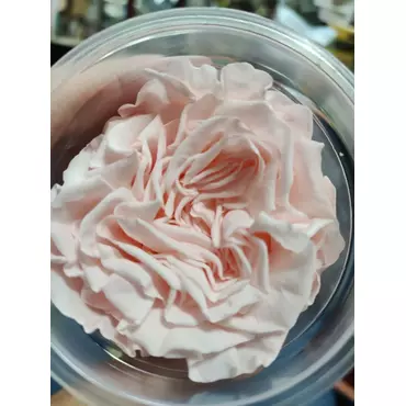 Бутоны розы садовой "White" с перламутром