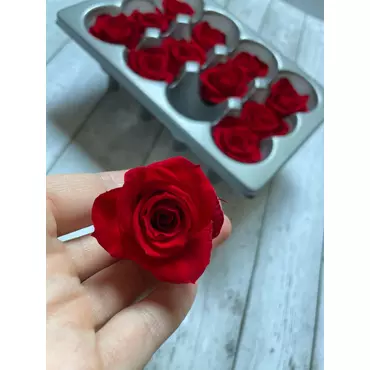 Бутоны розы "Cherry Blossom" (Mini)