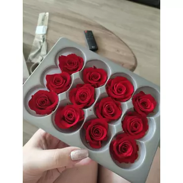 Бутоны розы "Cranberry" (Mini)