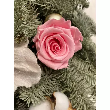 Бутоны розы "Pastel Pink" (Standard)