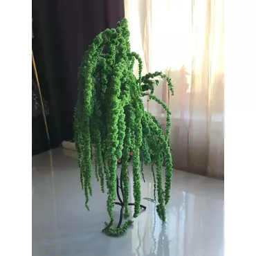 Ветви Амаранта "Verde Almendra"