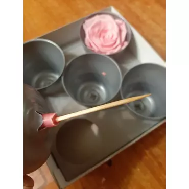 Стабилизированные бутоны розы "Pastel Pink" (Queen)