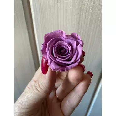 Бутоны розы "Lilac" (Ava Plus)