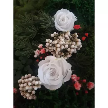 Бутоны розы "Bridal Rose" (Princess)